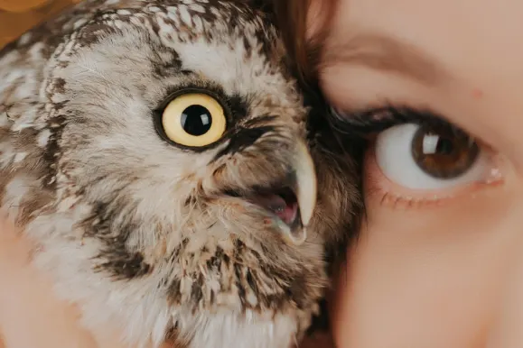 Cazino Fever Bingo Cazinou Suport